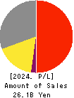 Cross Marketing Group Inc. Profit and Loss Account 2024年Jun期 Cross Marketing Group Inc. Profit and Loss Account 2024年6月期
