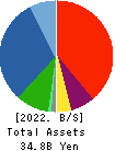 nms Holdings Corporation Balance Sheet 2022年3月期