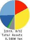 ASMO CORPORATION Balance Sheet 2019年3月期