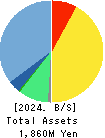 Brains Technology,Inc. Balance Sheet 2024年7月期