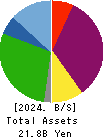 Hiramatsu Inc. Balance Sheet 2024年Mar期 Hiramatsu Inc. Balance Sheet 2024年3月期