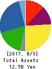 TWINBIRD CORPORATION Balance Sheet 2017年Feb期 TWINBIRD CORPORATION Balance Sheet 2017年2月期