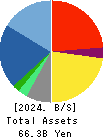 Anicom Holdings, Inc. Balance Sheet 2024年3月期