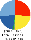 Ricksoft Co.,Ltd. Balance Sheet 2024年2月期