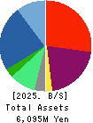 DATA HORIZON CO.,LTD. Balance Sheet 2025年Mar期 DATA HORIZON CO.,LTD. Balance Sheet 2025年3月期