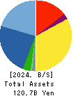MCJ Co.,Ltd. Balance Sheet 2024年3月期