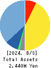 TDSE Inc. Balance Sheet 2024年Mar期 TDSE Inc. Balance Sheet 2024年3月期