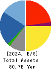 TOYO SECURITIES CO.,LTD. Balance Sheet 2024年3月期