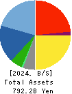 JGC HOLDINGS CORPORATION Balance Sheet 2024年Mar期 JGC HOLDINGS CORPORATION Balance Sheet 2024年3月期