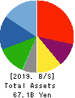 Sanoyas Holdings Corporation Balance Sheet 2019年Mar期 Sanoyas Holdings Corporation Balance Sheet 2019年3月期