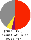 TDC SOFT Inc. Profit and Loss Account 2024年Mar期 TDC SOFT Inc. Profit and Loss Account 2024年3月期