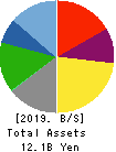 CVS Bay Area Inc. Balance Sheet 2019年2月期
