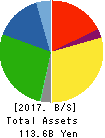 IJTT Co.,Ltd. Balance Sheet 2017年Mar期 IJTT Co.,Ltd. Balance Sheet 2017年3月期
