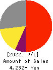 System D Inc. Profit and Loss Account 2022年10月期