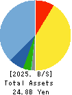 CEL Corporation Balance Sheet 2025年Feb期 CEL Corporation Balance Sheet 2025年2月期