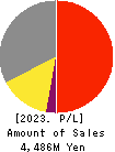 System Integrator Corp. Profit and Loss Account 2023年2月期