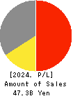 SUNDAY CO.,LTD. Profit and Loss Account 2024年2月期
