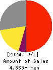 TEIN, INC. Profit and Loss Account 2024年3月期