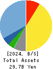 Fukui Computer Holdings,Inc. Balance Sheet 2024年3月期