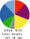 GEO HOLDINGS CORPORATION Balance Sheet 2024年3月期