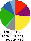 PACIFIC INDUSTRIAL CO., LTD. Balance Sheet 2019年Mar期 PACIFIC INDUSTRIAL CO., LTD. Balance Sheet 2019年3月期