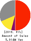 SHINPO CO.,LTD. Profit and Loss Account 2019年6月期