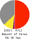 DKS Co. Ltd. Profit and Loss Account 2021年3月期