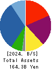 Hoosiers Holdings Co., Ltd. Balance Sheet 2024年Mar期 Hoosiers Holdings Co., Ltd. Balance Sheet 2024年3月期