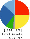 TSUGAMI CORPORATION Balance Sheet 2024年Mar期 TSUGAMI CORPORATION Balance Sheet 2024年3月期