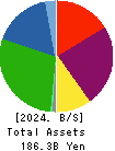 UNITIKA LTD. Balance Sheet 2024年Mar期 UNITIKA LTD. Balance Sheet 2024年3月期