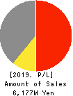 Virtualex Holdings,Inc. Profit and Loss Account 2019年3月期
