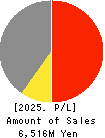 Shikino High-Tech CO.,LTD. Profit and Loss Account 2025年3月期