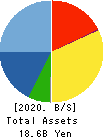 TENOX CORPORATION Balance Sheet 2020年3月期