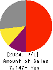 Double Standard Inc. Profit and Loss Account 2024年Mar期 Double Standard Inc. Profit and Loss Account 2024年3月期