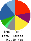 Digital Garage, Inc. Balance Sheet 2020年Mar期 Digital Garage, Inc. Balance Sheet 2020年3月期