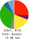 Smile Holdings Inc. Balance Sheet 2021年3月期