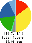 RION CO.,LTD. Balance Sheet 2017年Mar期 RION CO.,LTD. Balance Sheet 2017年3月期