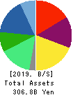 Nichi-Iko Pharmaceutical Co.,Ltd. Balance Sheet 2019年Mar期 Nichi-Iko Pharmaceutical Co.,Ltd. Balance Sheet 2019年3月期