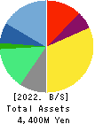 Datasection Inc. Balance Sheet 2022年Mar期 Datasection Inc. Balance Sheet 2022年3月期