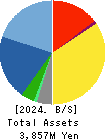 Care Service Co.,Ltd. Balance Sheet 2024年Mar期 Care Service Co.,Ltd. Balance Sheet 2024年3月期