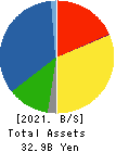 GEOSTR Corporation Balance Sheet 2021年3月期
