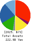 JK Holdings Co., Ltd. Balance Sheet 2025年Mar期 JK Holdings Co., Ltd. Balance Sheet 2025年3月期