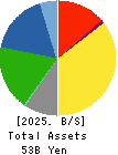 Carlit Co., Ltd. Balance Sheet 2025年Mar期 Carlit Co., Ltd. Balance Sheet 2025年3月期