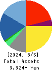 Virtualex Holdings,Inc. Balance Sheet 2024年3月期