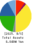 TEIN, INC. Balance Sheet 2025年3月期