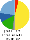 NS TOOL CO.,LTD. Balance Sheet 2023年Mar期 NS TOOL CO.,LTD. Balance Sheet 2023年3月期