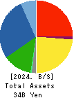 OKADA AIYON CORPORATION Balance Sheet 2024年Mar期 OKADA AIYON CORPORATION Balance Sheet 2024年3月期