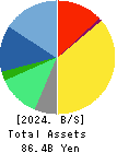 NSD CO., LTD. Balance Sheet 2024年3月期