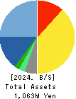 SecondXight Analytica,Inc. Balance Sheet 2024年Dec期 SecondXight Analytica,Inc. Balance Sheet 2024年12月期