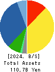 RAIZNEXT Corporation Balance Sheet 2024年Mar期 RAIZNEXT Corporation Balance Sheet 2024年3月期